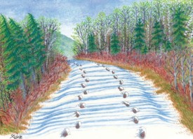 Snow tracks thumbnail