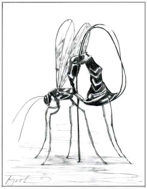 The Grisly Business of Parasitoids thumbnail