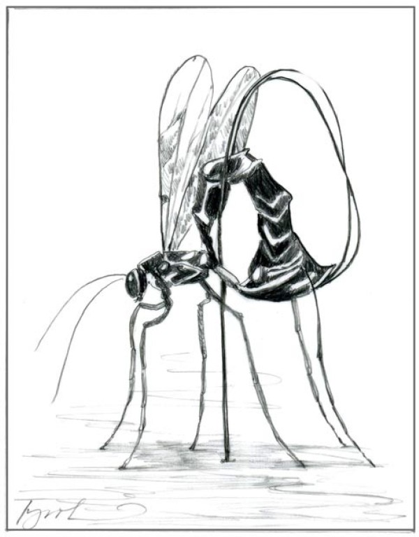 The Grisly Business of Parasitoids