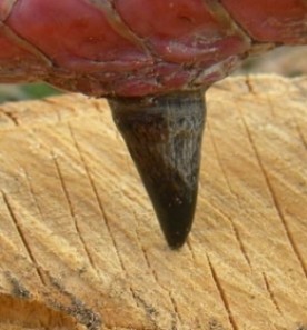 something_artistic_web.jpg thumbnail