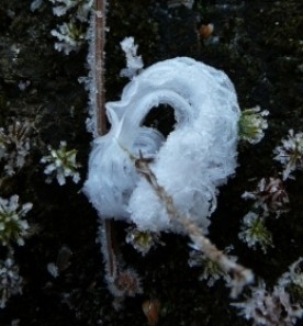 spiral.jpg thumbnail