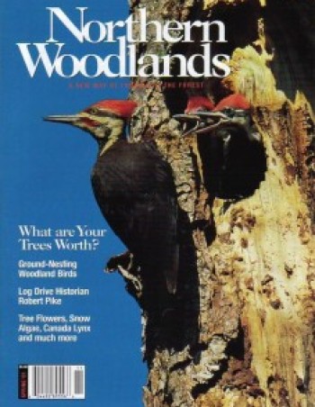 Photo by Charles H. Willey Spr01w.jpg cover