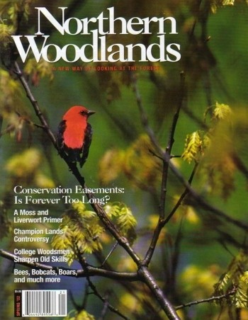 Photo by Alan Briere Spring 2002 cover 