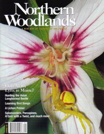 Photo by Gustav Verderber Spring 2003 cover 
