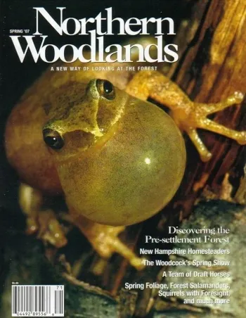 Photo by Gustav W. Verderber Spring 2007 cover 