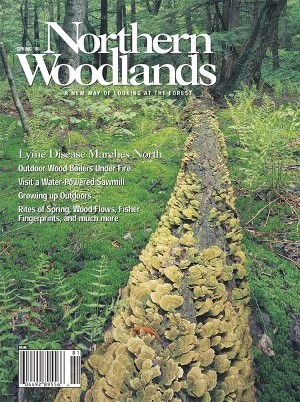 Cover of Spr08w.jpg