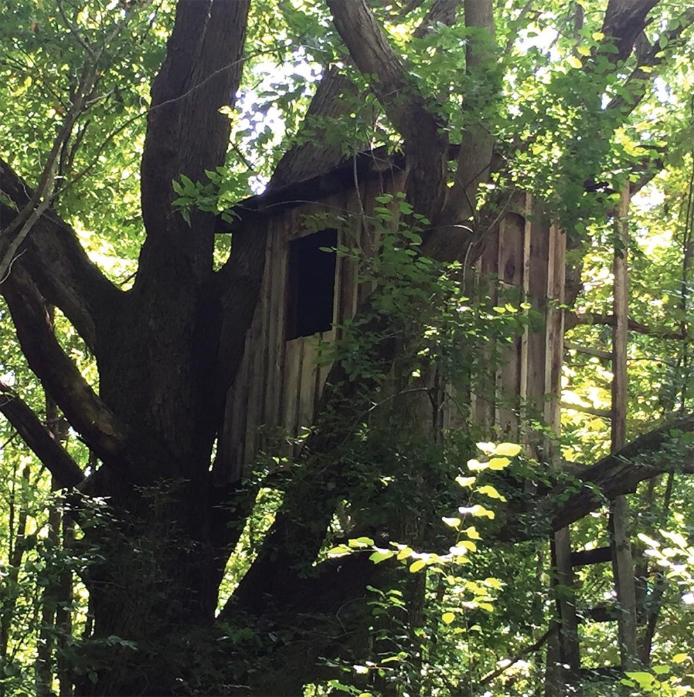 Tree house