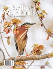 Photo by Jim Block Spring 2022 cover  by Northern Woodlands