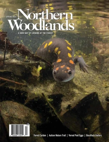 Cover by Nick Scobel Spring 2023 cover by Northern Woodlands