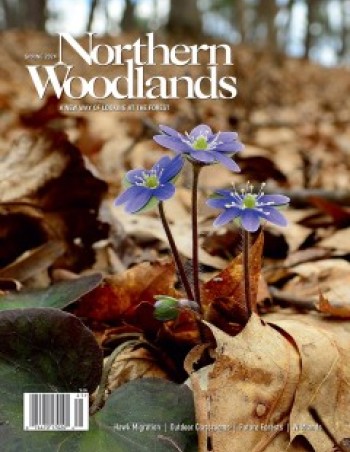 Photo by Mike Adamovich Spring 2024 cover  by Northern Woodlands