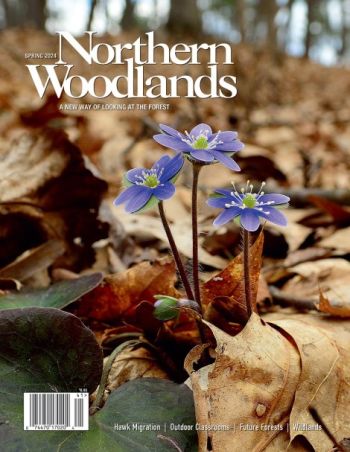   cover  by Northern Woodlands