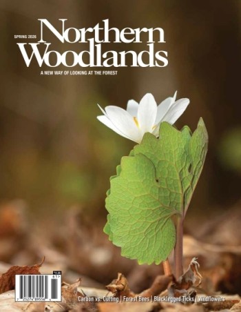 Photo by Bryan Pfeiffer Spring magazine cover  by Bryan Pfeiffer