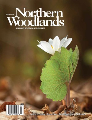 Cover of Spring magazine