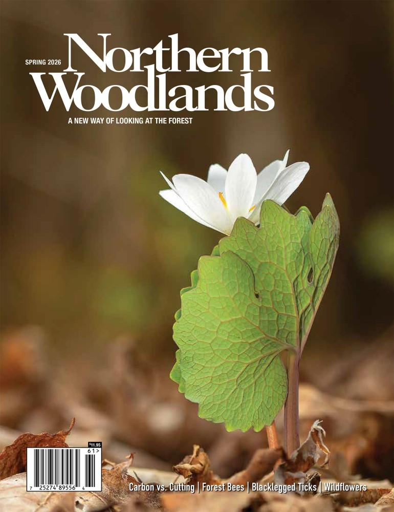 Photo by Bryan Pfeiffer Spring 2026 cover  by Bryan Pfeiffer