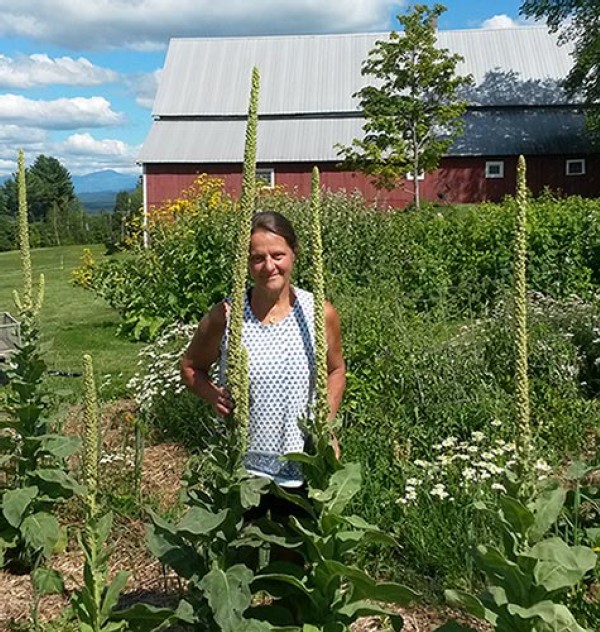 The Herbs Around Us