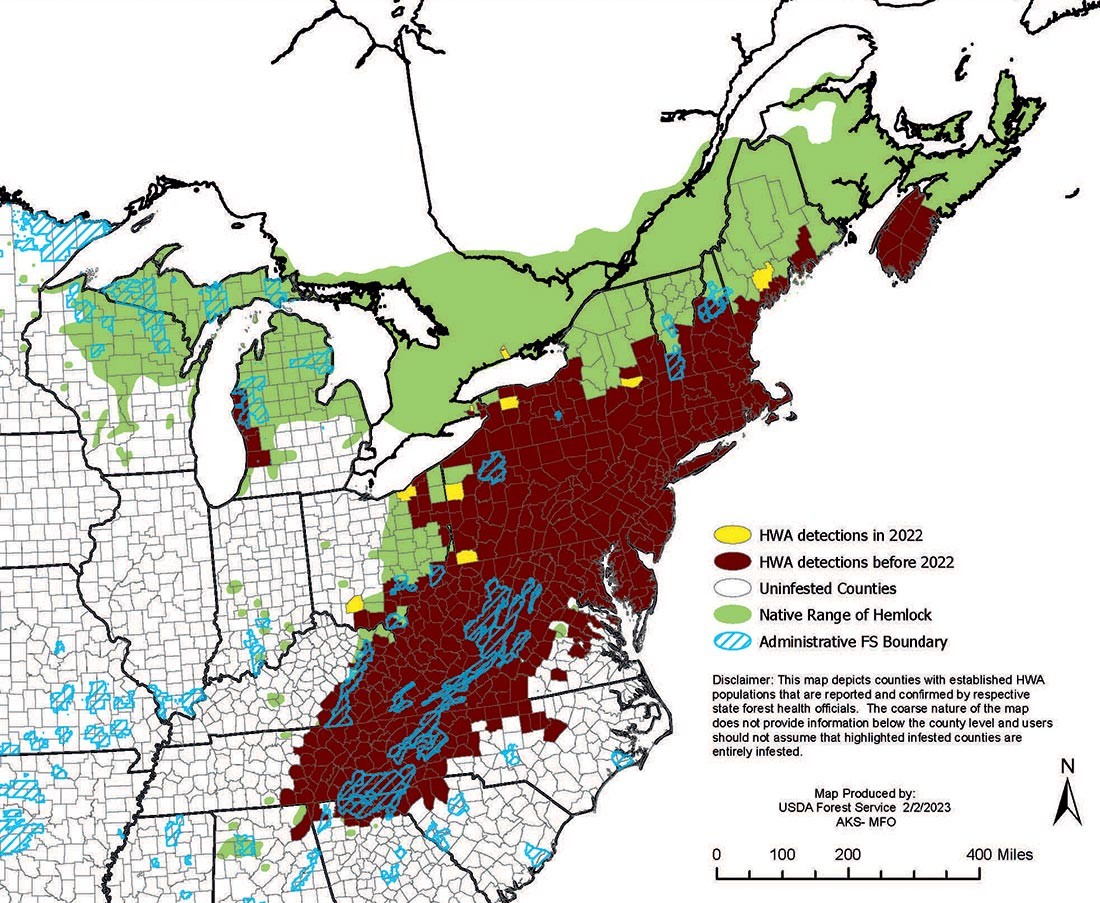 The Battle to Save Hemlock