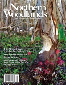 Cover image by Mandy Applin spring14.jpg cover 