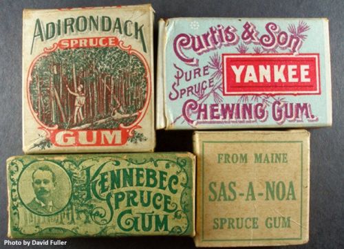 Spruce gum boxes