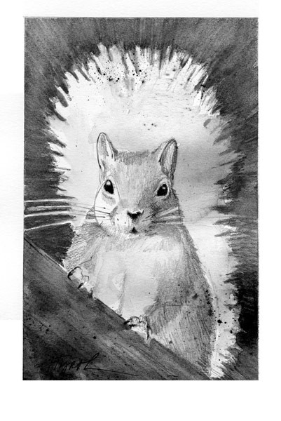 Squirrels: Chatty, Feisty and Briefly Romantic thumbnail