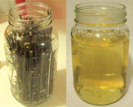 Black Birch Tea: A Delicate Winter Brew thumbnail