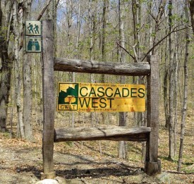 Restoring Wildlife Habitat in an Urban Forest thumbnail