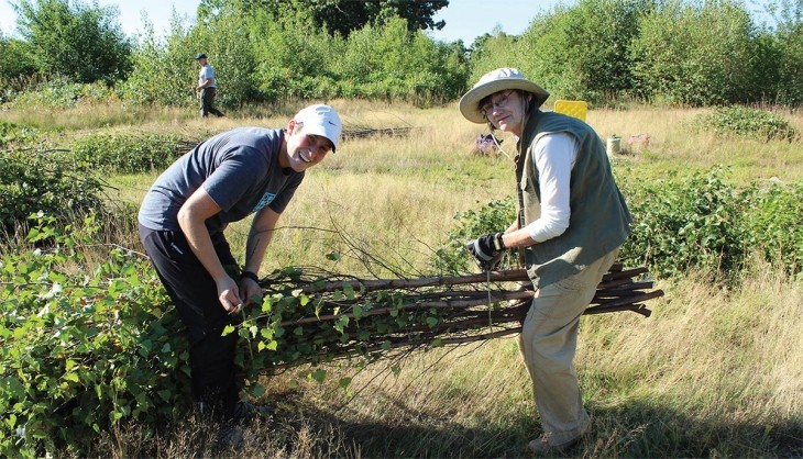 Restoring Wildlife Habitat in an Urban Forest