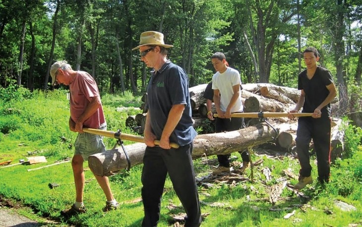 Restoring Wildlife Habitat in an Urban Forest