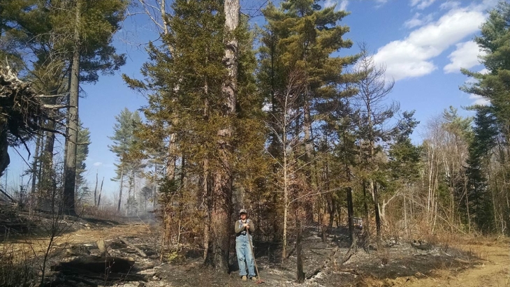 Stewardship on Stone Fence Farm