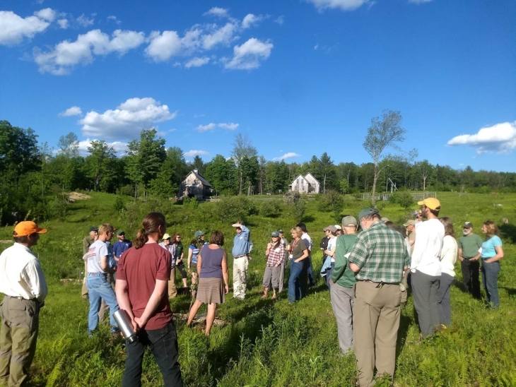 Stewardship on Stone Fence Farm