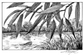 stream_bank_cropped.jpg thumbnail