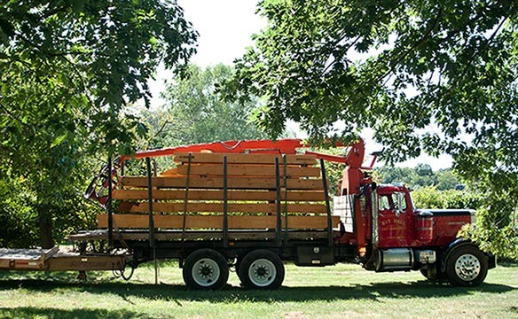 Field Work: At Work Sawing Timber at Strong Farm and Sawmill