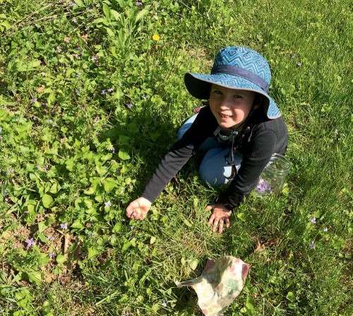 Student harvests violets