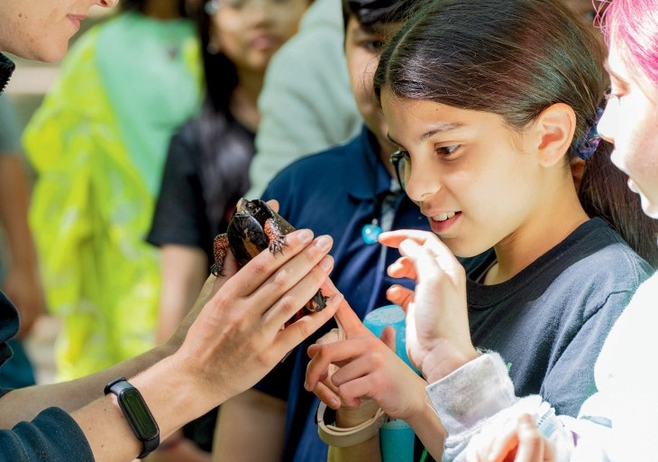 Student studies turtles