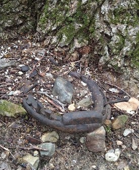 sugarwoods_2016.jpg thumbnail