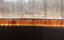 Sugarwoods_March29_Header.jpg thumbnail