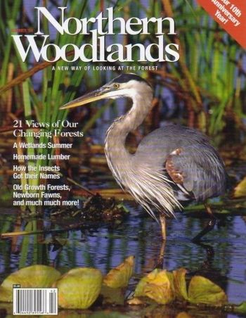 Photo by Eric Dresser Summer 2004 cover 