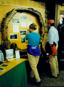 Forestry at the Fair