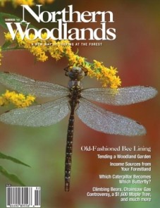 Photo by Gustav W. Verderber SUM10cover.jpg cover 