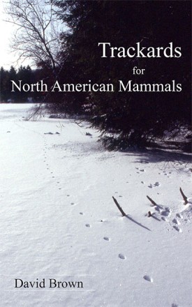 sum14_lit_3.jpg thumbnail