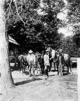 Biltmore Stick 2 thumbnail