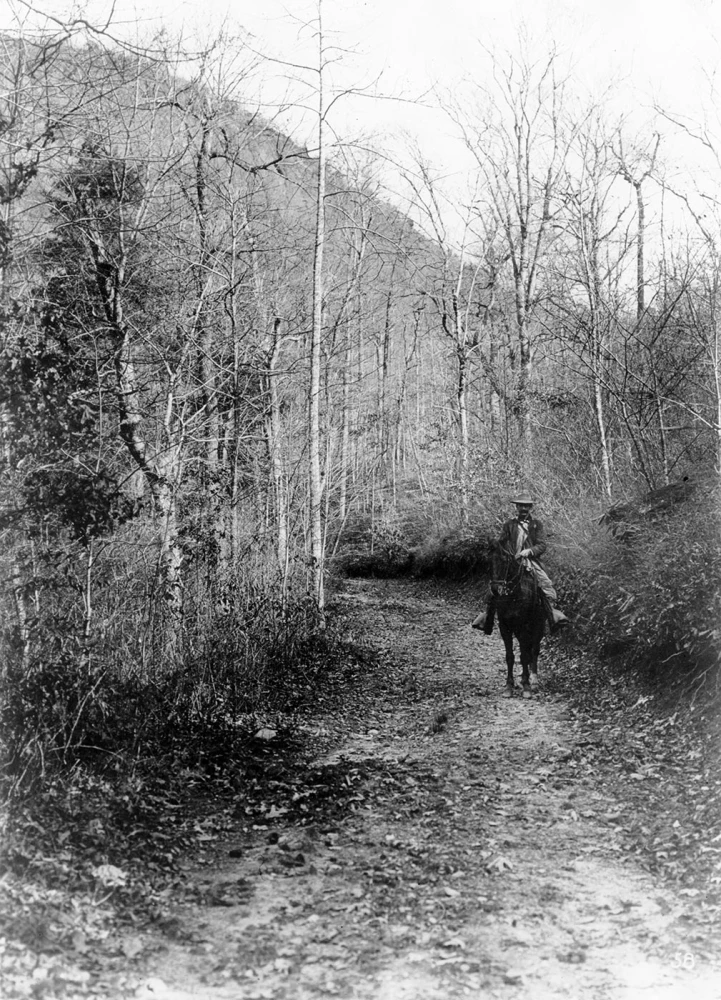 Biltmore Stick