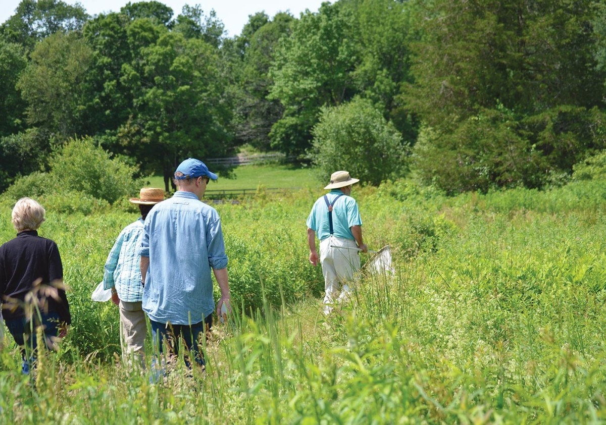 Creating Pathways for Pollinators