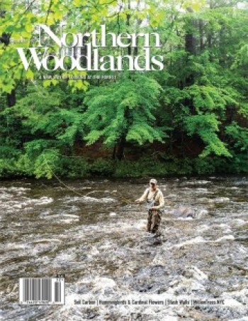 Photo by Jerry Monkman Summer 2023 cover  by Northern Woodlands