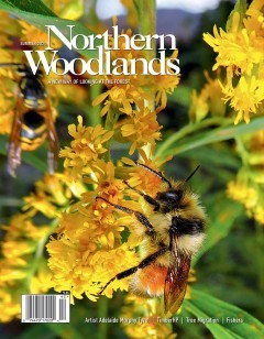 Photo by Susan Morse Summer 2024 cover  by Northern Woodlands