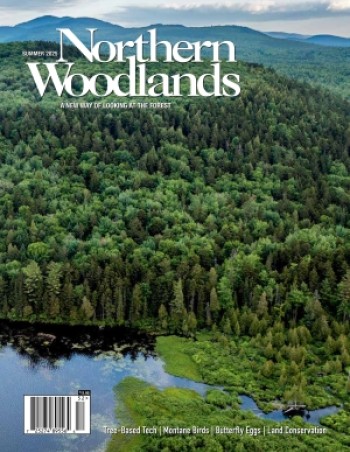 Photo by Jerry Monkman Summer magazine cover  by Northern Woodlands