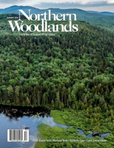 Photo by Jerry Monkman Summer magazine cover  by Northern Woodlands