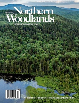 Cover of Summer magazine