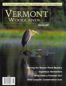 Photo by Charles H. Willey Sum97w.jpg cover 