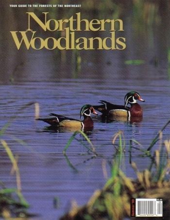 Photo by Charles H. Willey Summer 1999 cover 