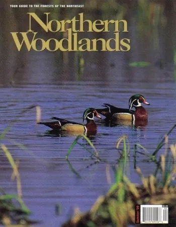 Photo by Charles H. Willey Summer 1999 cover 
